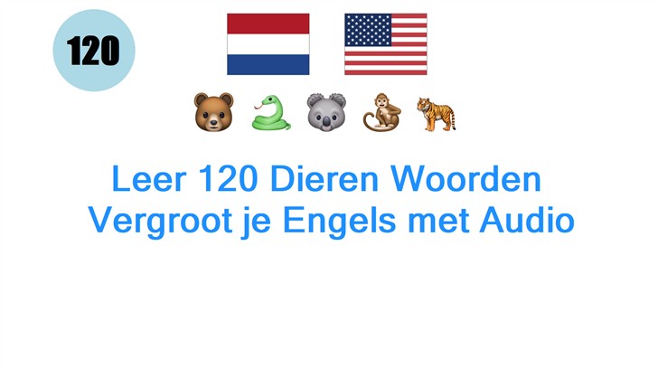 Leer 120 Dieren Woorden: Vergroot je Engels met Audio